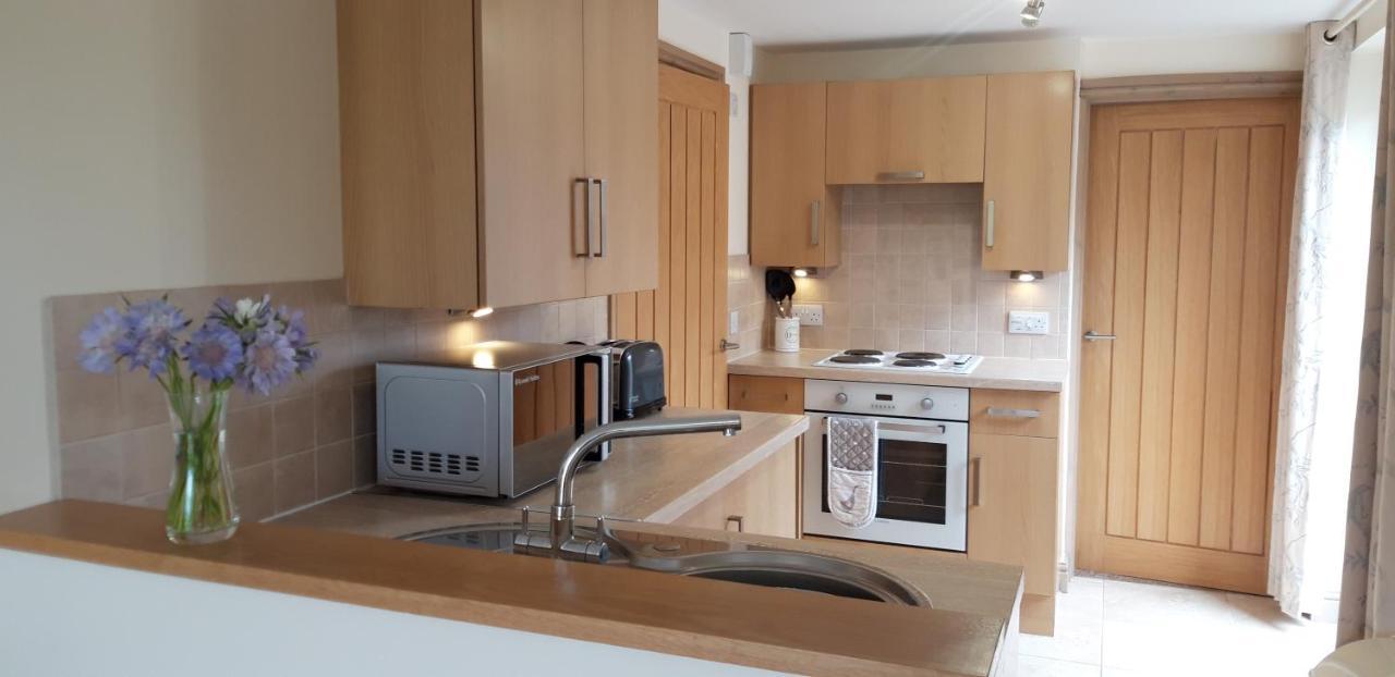Trelawne Garden Annexe Villa Falmouth Ngoại thất bức ảnh