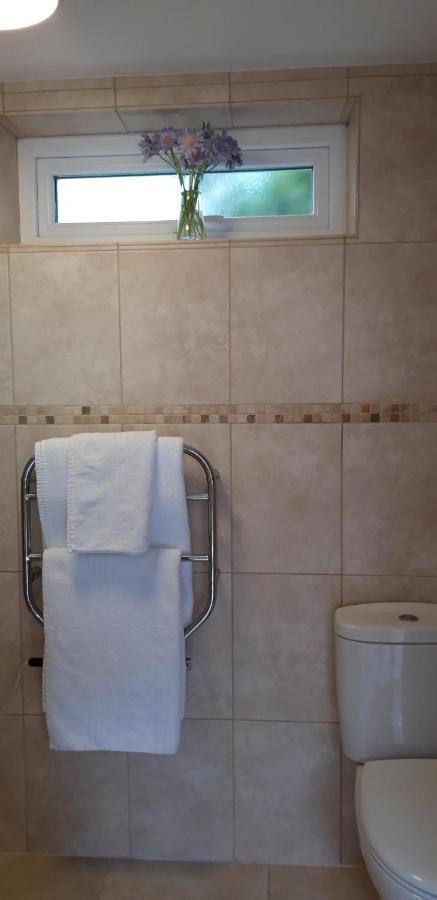 Trelawne Garden Annexe Villa Falmouth Ngoại thất bức ảnh