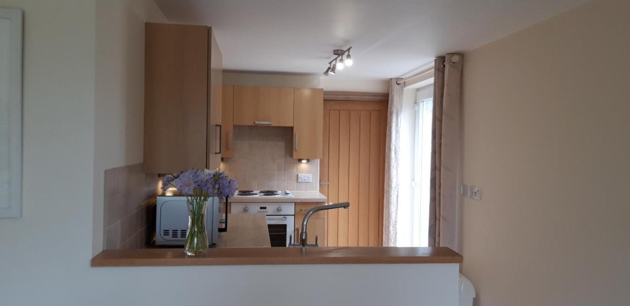 Trelawne Garden Annexe Villa Falmouth Ngoại thất bức ảnh
