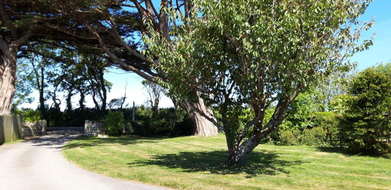 Trelawne Garden Annexe Villa Falmouth Ngoại thất bức ảnh