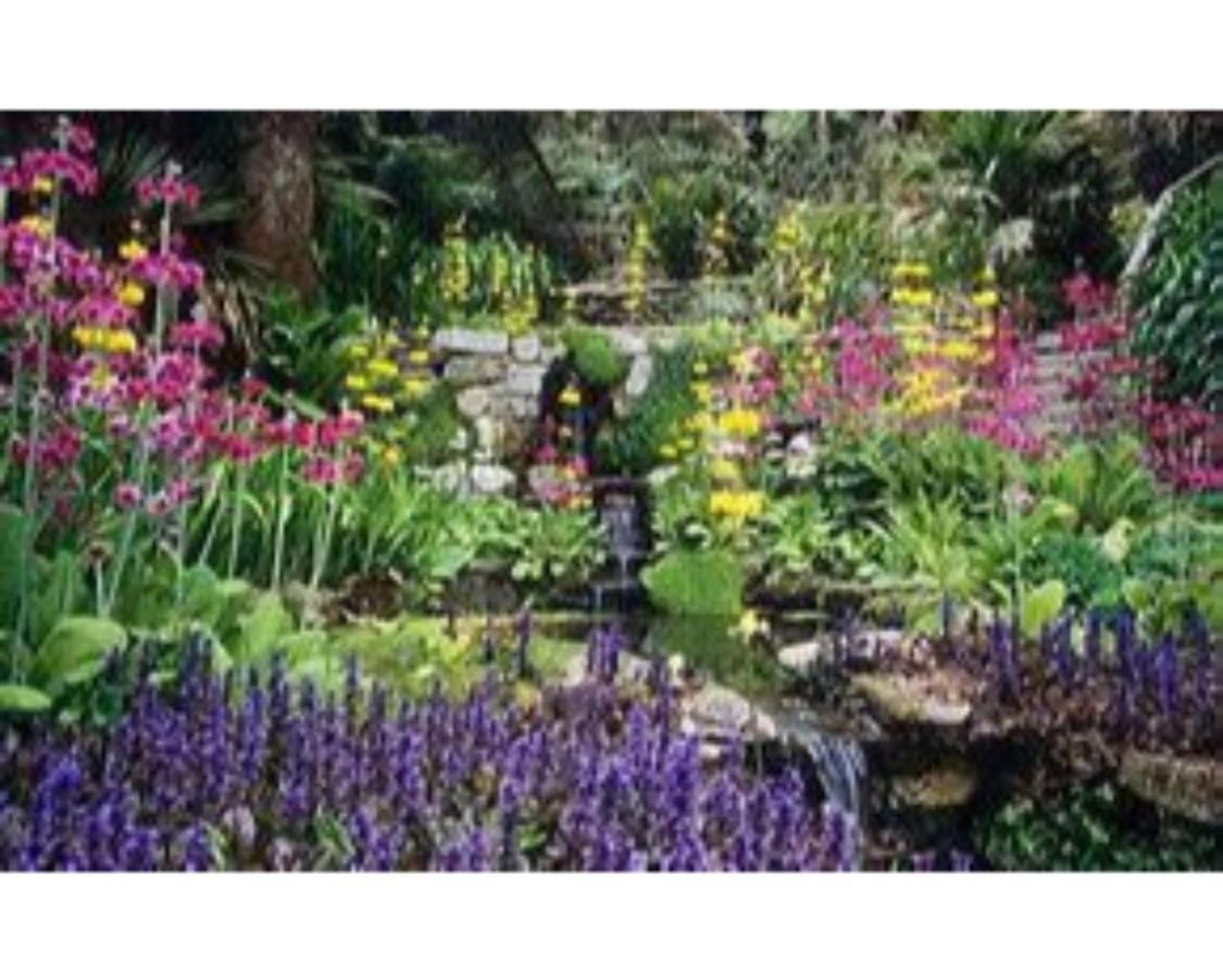 Trelawne Garden Annexe Villa Falmouth Ngoại thất bức ảnh